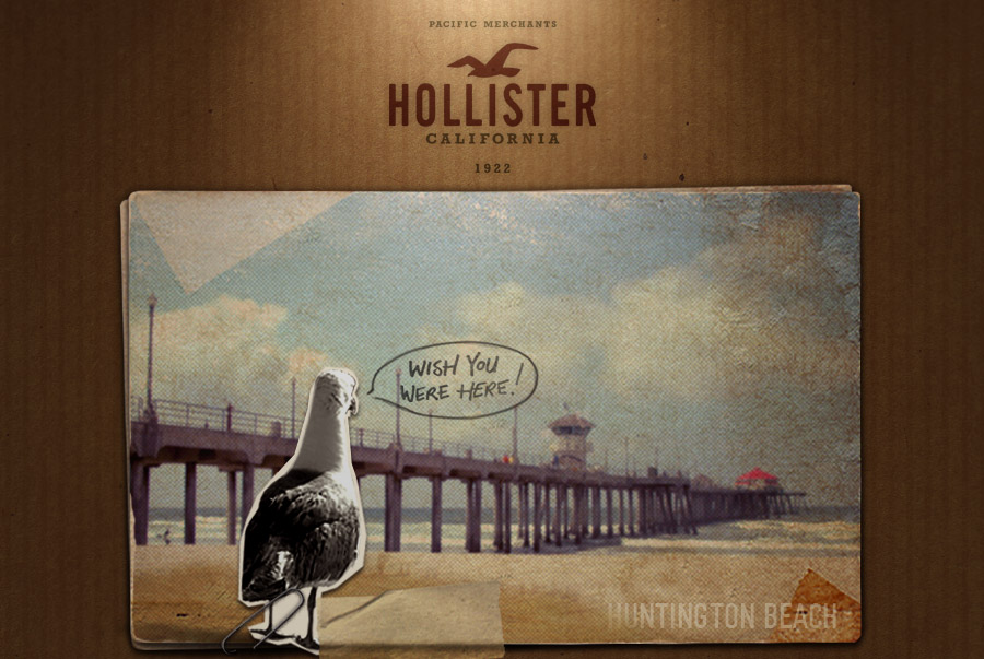 Hollister Co.